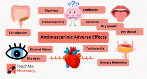 Infographic titled “Antimuscarinic Adverse Effects,” showing illustrated digestive, brain, mouth, eye, heart, and bladder icons with listed effects including constipation, dizziness, confusion, hallucinations, sedation, dry mouth, dry throat, blurred vision, dry eyes, tachycardia, and urinary retention.