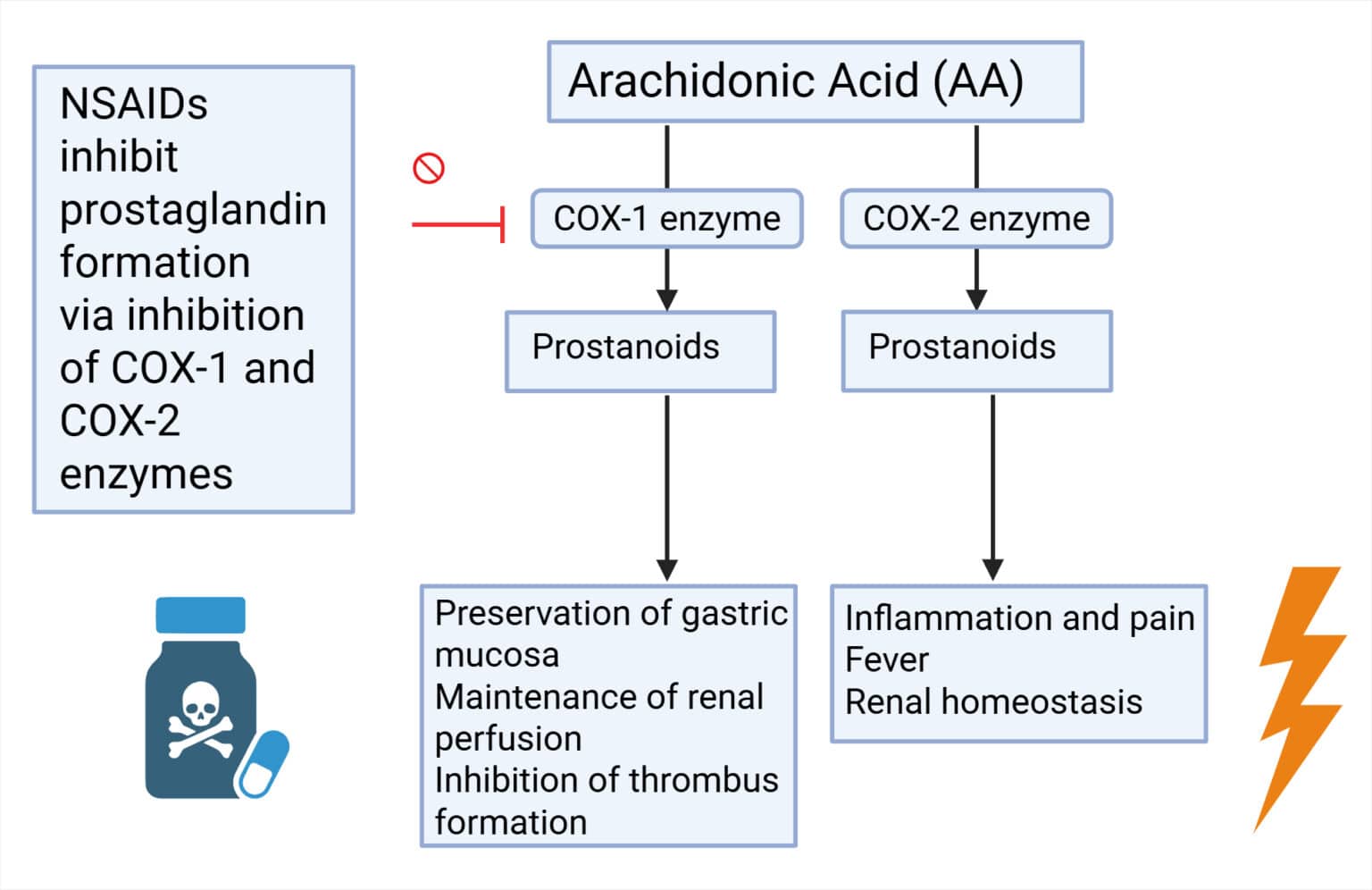 NSAIDs: Mechanism of Action, Indications, Contraindications, Adverse ...