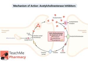 Diagram of acetylcholinesterase inhibitors in a synapse, showing acetylcholine release, receptor binding, enzymatic breakdown into choline and acetate, and inhibition by donepezil, galantamine, and rivastigmine.
